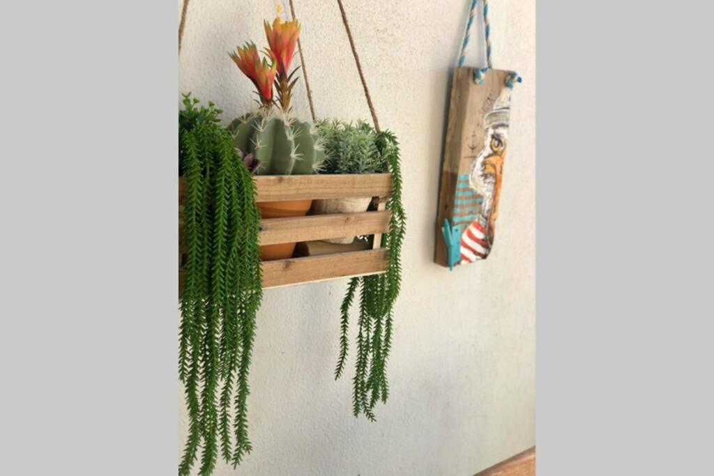 Marea Fuerteventura Home 1 Corralejo Zewnętrze zdjęcie